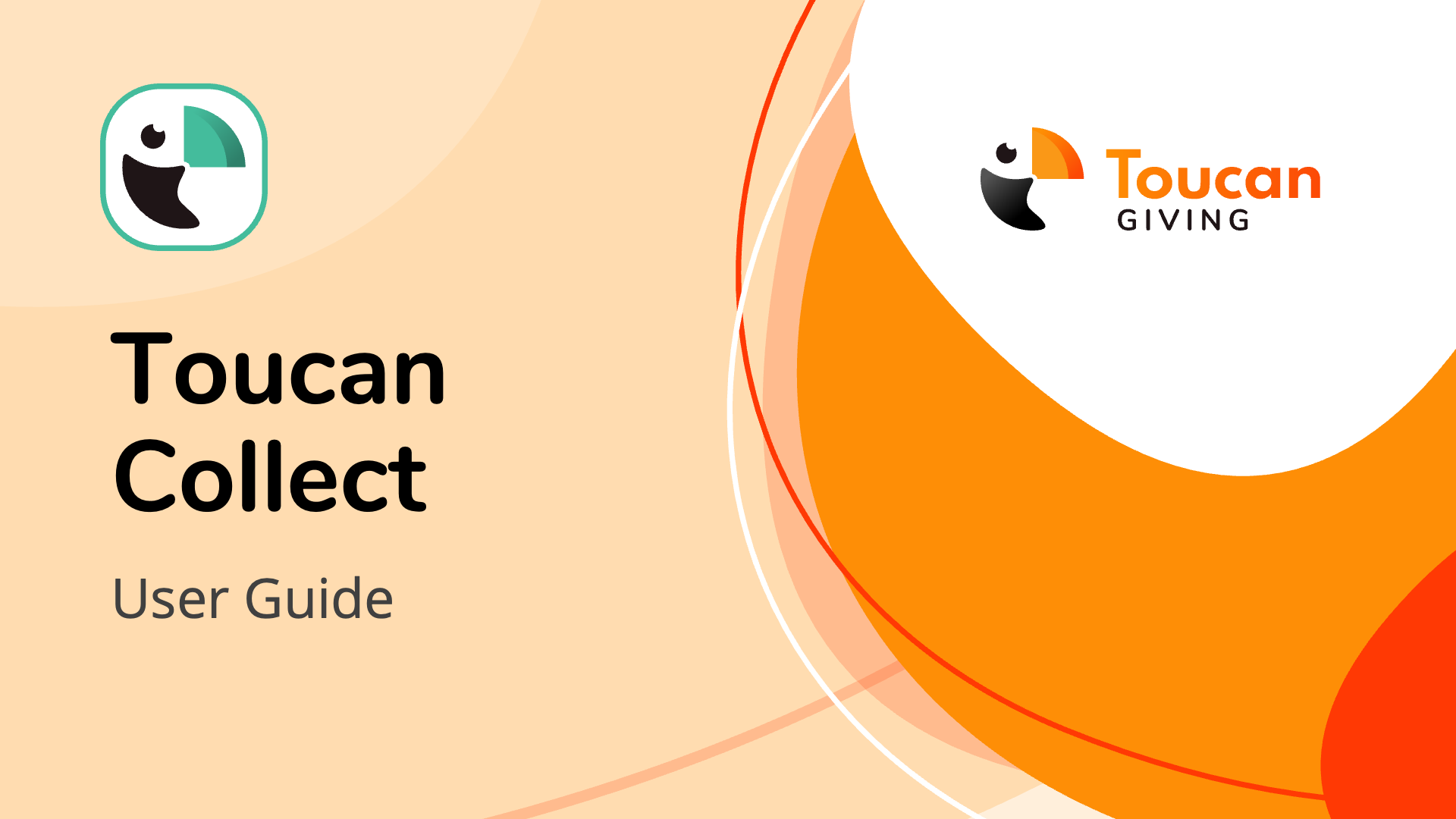 Toucan Collect guide